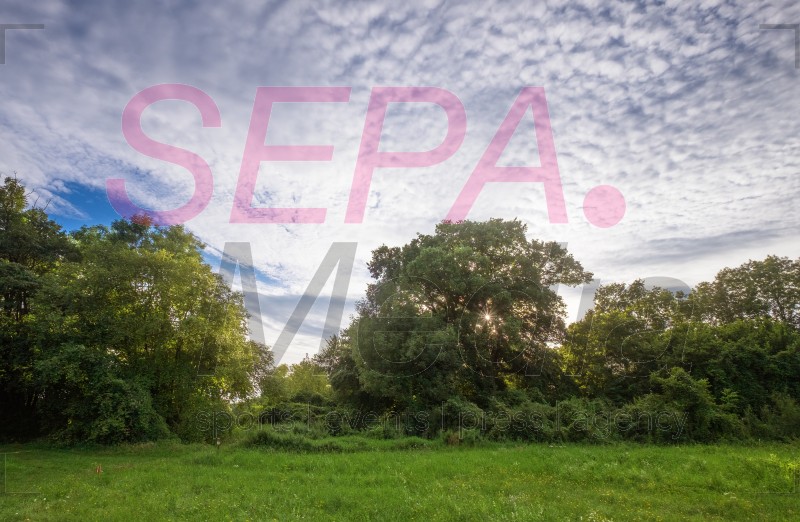 Preview 20160803_SEPAMedia_15_007.jpg